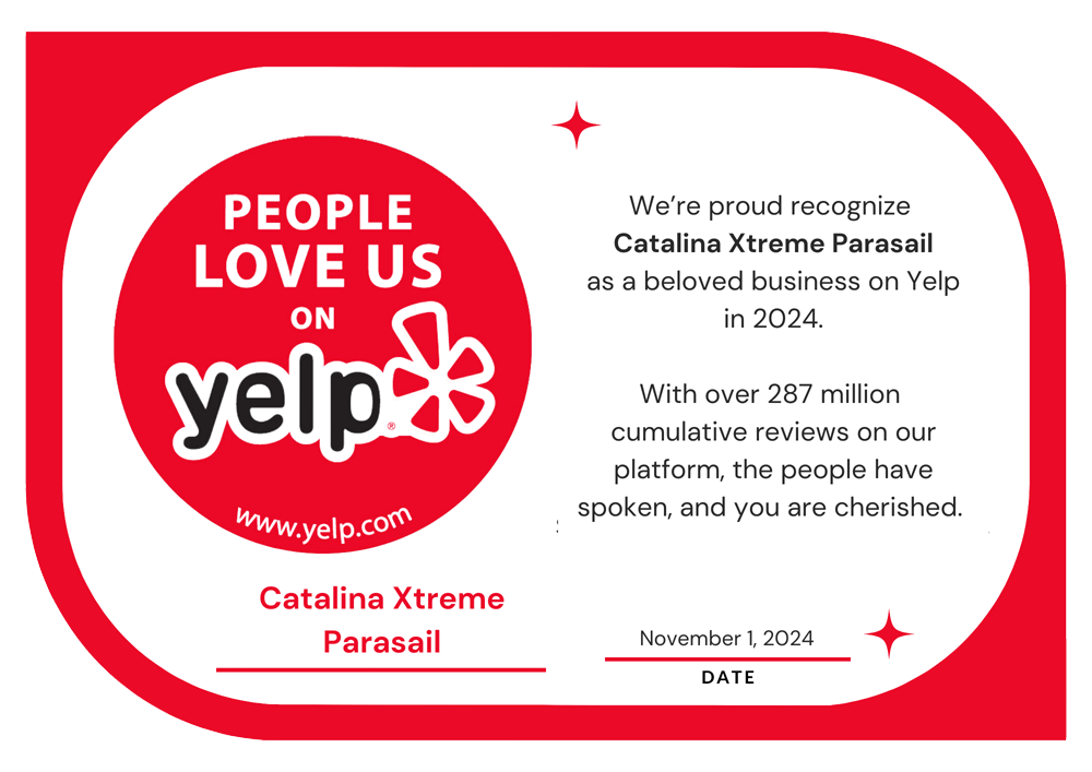 Yelp Review